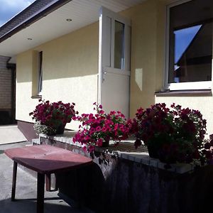 Alyvos Vila Ignalina Exterior photo