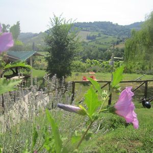 Le Spighe Agriturismo Vila Cesena Exterior photo