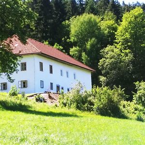 Ferienhaus Herrnbauer Apartamento Zaglau Exterior photo