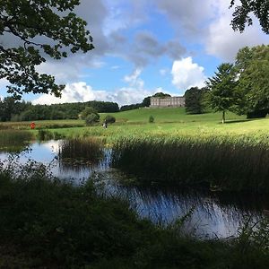 Curraghchase Cottage Kilcornan Exterior photo