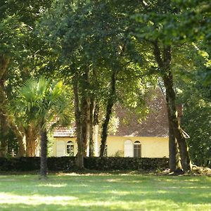 La Chapelle Du Chateau Gite Vila Pouillon Exterior photo