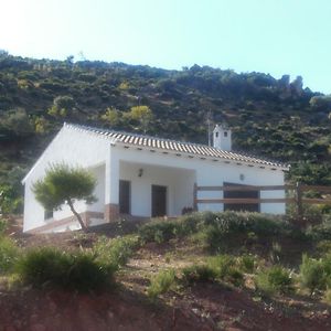 La Solana De Turon. El Pino Casa de hóspedes Ardales Exterior photo