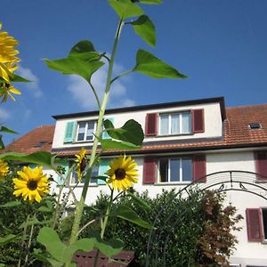 Ruhiges Gaestezimmer Apartamento Winterthur Exterior photo