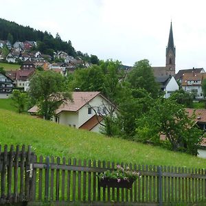 Naehe Nationalpark Apartamento Baiersbronn Exterior photo