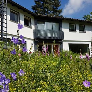 Haus Am Park Stadtallendorf Exterior photo