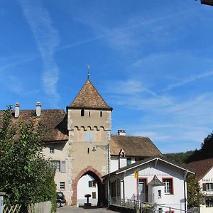 Wandern Und Wohnen Bei Gabriela Apartamento Waldenburg Exterior photo