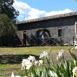 Poggio Roseto Vila Randazzo Exterior photo