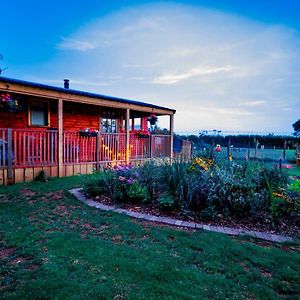 Cherry Tree Glamping Vila Stroud  Exterior photo