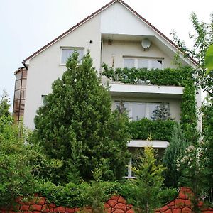 Donau Apartman,Tát Hotel Exterior photo