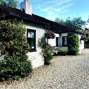 The Wicklow Escape (Adults Only) Vila Donard Exterior photo