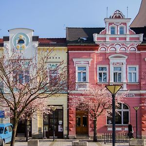 Apart U Lva Hotel Vsetín Exterior photo