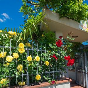 Bed & Breakfast Profumo D'Estate Acomodação com café da manhã Agliana Exterior photo