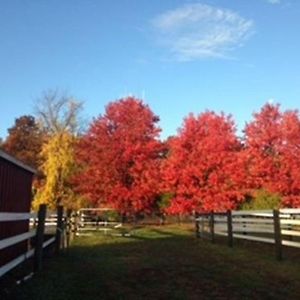 Flint Hill Farm Ag Vila Center Valley Exterior photo