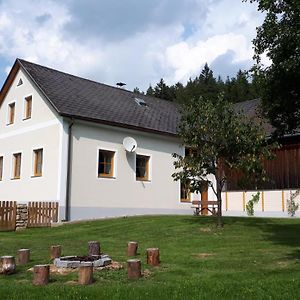 Ferienhaus Buxbaum Vila Arbesbach Exterior photo