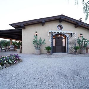 Casa Degli Ulivi Acomodação com café da manhã Cerveteri Exterior photo