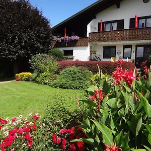 Haus Christine Aigen Schlaegl - Moldau Apartamento Aigen im Mühlkreis Exterior photo