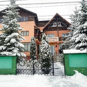 Pensiunea Agroturistica Piscul Soarelui Hotel Cîmpulung Exterior photo