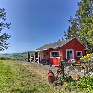 Moonview Ranch On 20 Acres In Sonoma County! Vila Sebastopol Exterior photo