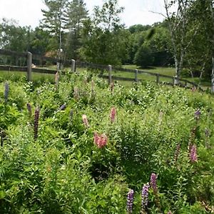 Chester Farmhouse On 100 Acres, 15 Min To Okemo! Vila Exterior photo