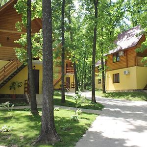 Вілія Hotel Lomachintsy Exterior photo