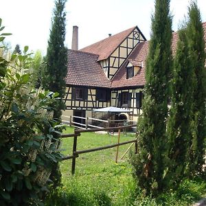 Maison De Vacances Alsace - Ferienhaus Elsass - Holiday House Alsace Vila Bischwiller Exterior photo