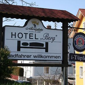 Gasthof Berg Hotel Hochstadt an der Donau Exterior photo