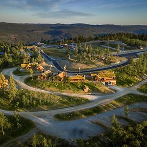 Liapark Vila Ål Exterior photo