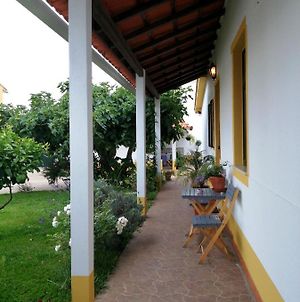 Casa Dos Pingos De Mel Acomodação com café da manhã Aveiro Exterior photo