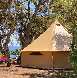 Acampale - Camping Costa Brava - Calella De Palafrugell Hotel Exterior photo