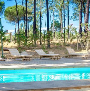 The Pines - Luxury Villa With Pool Near The Beach Melides Exterior photo