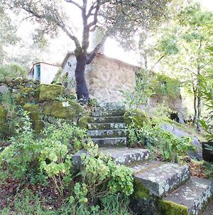 Casa Da Eira- Into The Nature Vila Macieira de Alcoba Exterior photo