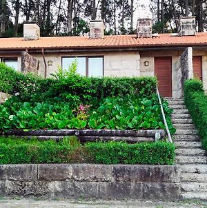 Casa Nogueira - Minho'S Guest Vila Pousadouros  Exterior photo