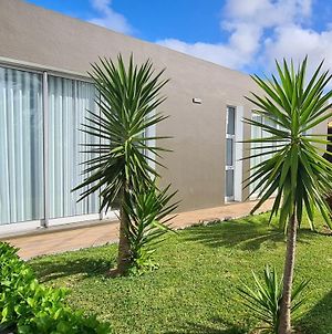 Magnolia Residence - In The Center Of The Island Ribeira Grande Exterior photo