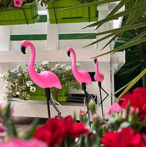 Casa Flamingo Figueira da Foz Exterior photo