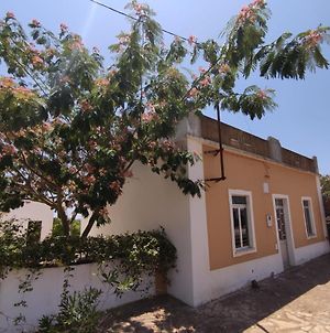 Traditional Rural House - Algarve Silves Exterior photo