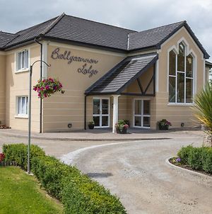 Ballycannon Lodge Croagh Exterior photo