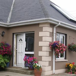Killurin Lodge Ballyvolane Exterior photo