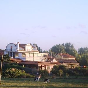 Solar Do Alambique Casa de hóspedes Angeja Exterior photo