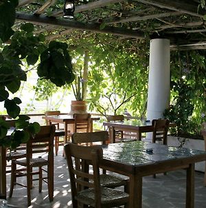 La Lampara Acomodação com café da manhã Stromboli Exterior photo