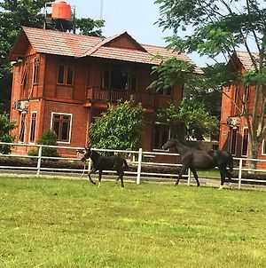 Apm Equestrian Resort Tangerang Exterior photo