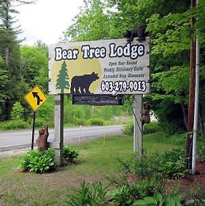 Bear Tree Lodge Meredith Exterior photo