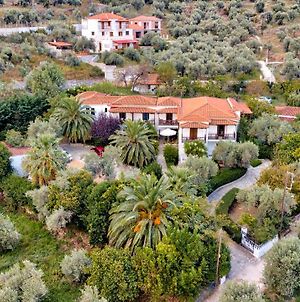 Villa Ble Skopelos Town Exterior photo