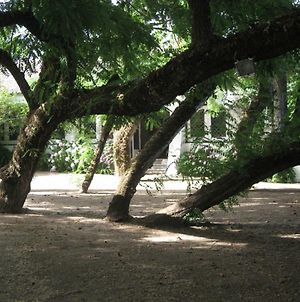 Quinta de São José Vila Sobral de Monte Agraço Exterior photo