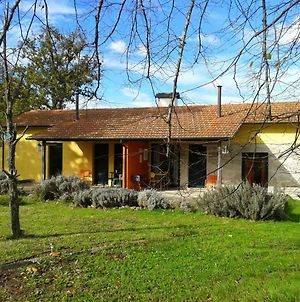 Casa Das Palmeiras-Pedagogic Farm Vila Mangualde Exterior photo