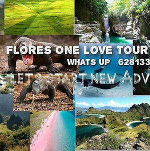 Flores One Love Homestay & Tours Labuan Bajo Exterior photo
