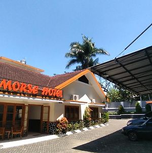 Morse Guesthouse Syariah Malang Exterior photo