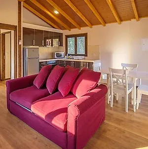 One Bedroom Chalet With Shared Pool Balcony And Wifi At Branca Albergaria A Velha Fradelos Exterior photo