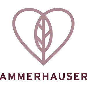 Hotel-Restaurant Ammerhauser Anthering Exterior photo