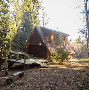Roztomilá a utulná chata Azzy na samotě v lese. Valašské Klobouky Exterior photo