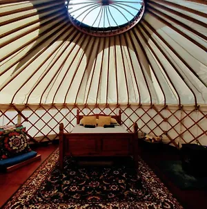 Beautiful Yurt With Stunning South Downs Views Hotel Graffham Exterior photo